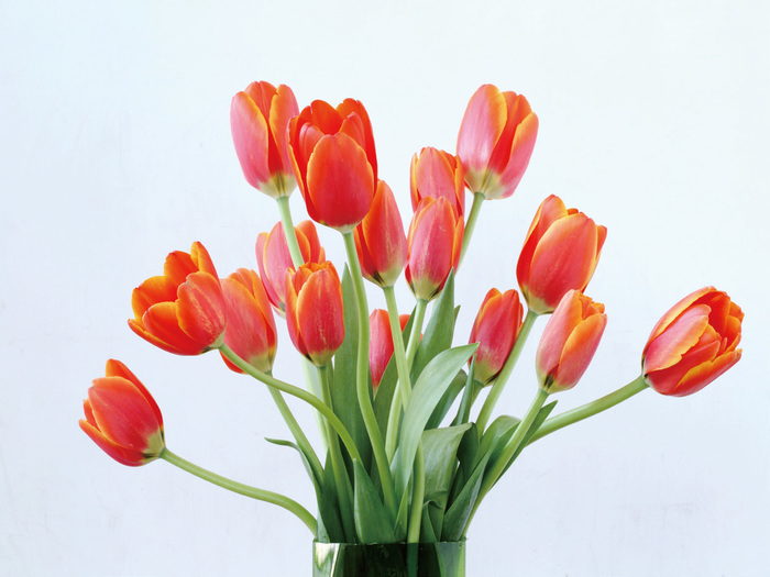 不同光線(xiàn)在攝影中(zhōng)的表現 不同光線(xiàn)在攝影中(zhōng)的表現