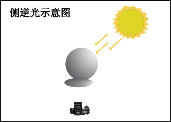 不同光線(xiàn)在攝影中(zhōng)的表現 不同光線(xiàn)在攝影中(zhōng)的表現