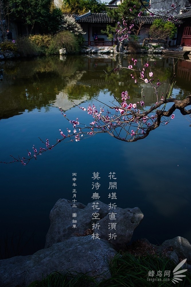 攝影入門:隻盯着最好的 你才會越來越好 攝影入門:隻盯着最好的 你才會越來越好